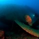 Picture of the Month contests
2017 man on the wreck
The world of silence - A csend világa