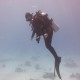 Picture of the Month contests
2012 Scuba diver
lazulás
