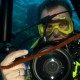 Picture of the Month contests
2012 Scuba diver
Fotós és bújkáló témája