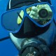 Picture of the Month contests
2012 Scuba diver
Cyborg