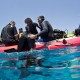 Picture of the Month contests
2016 divers on surface
Önzetlen segítség
