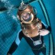 Picture of the Month contests
Diver
