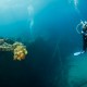 Picture of the Month contests
2017 man on the wreck
Unalom