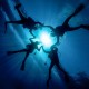 Picture of the Month contests
2012 Silhouette
Fundive...