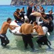 Picture of the Month contests
2011 Diver above water
Egyedül nem megy, egyedül nem megy...