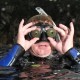 Picture of the Month contests
2011 Diver above water
Nézőpont