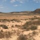 Fuerteventura szélesvásznon