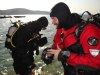 The drysuit diving becomes more and more popular but many divers still prefer wetsuits.
