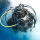 Picture of the Month contests
2012 Scuba diver
