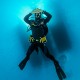 Picture of the Month contests
Diver
Ninjaaaa