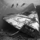 Picture of the Month contests
2011 Wreck
