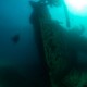 Scalaria Wreck