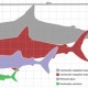 Méretszemléltetés: zöld; nagy fehércápa, lila; érdescápa, bordó; átlagméretű, szürke; nagyméretű Megalodon